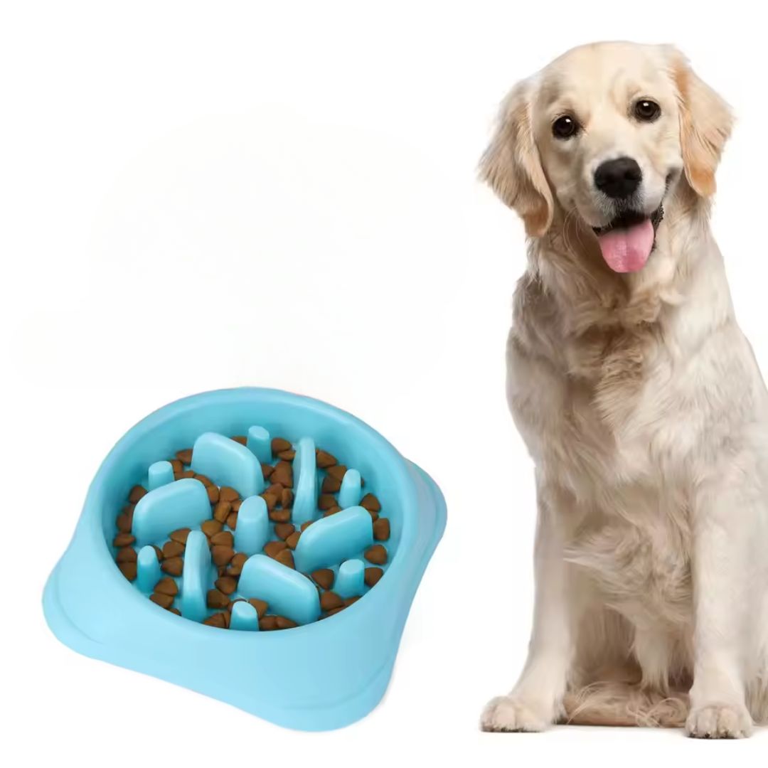 Slow Feeder Dog Bowl – Anti-Choke Puzzle Bowl for Healthy Eating