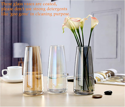 Modern Glass Vase Irised Crystal Clear Glass Vase for Home Office Decor (Crystal Amber)