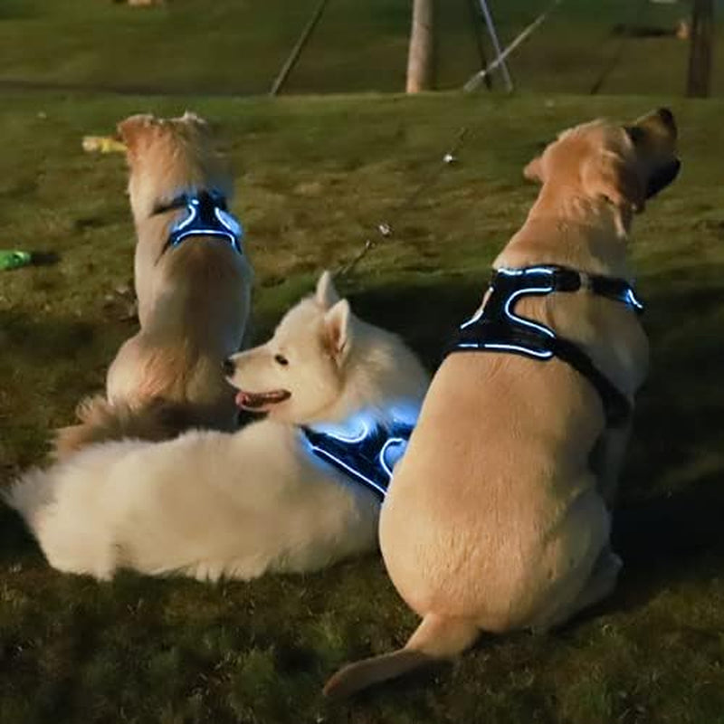 No Pull Dog Harness,  Light up Dog Harness There Are 3 Light Modes with Control Handle and Reflective Strap, Adjustable Breathable Dog Vest Suitable for Small, Medium, Large Dogs(S)